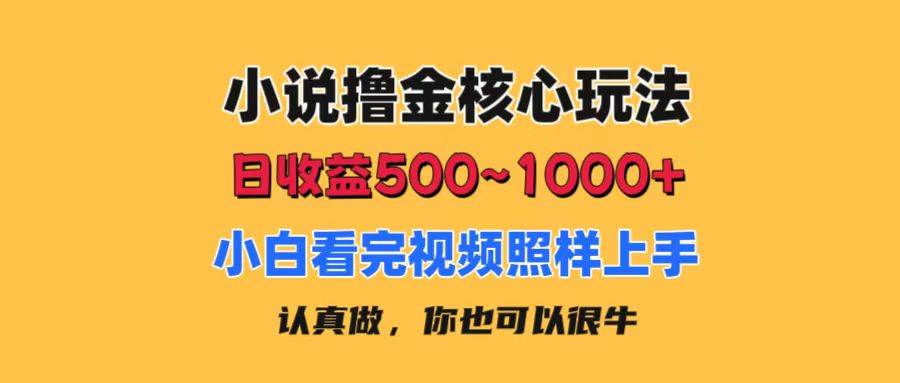 小说撸金核心玩法，日收益500-1000+，小白看完照样上手，0成本有手就行搞钱吧-网创项目资源站-副业项目-创业项目-搞钱项目搞钱吧