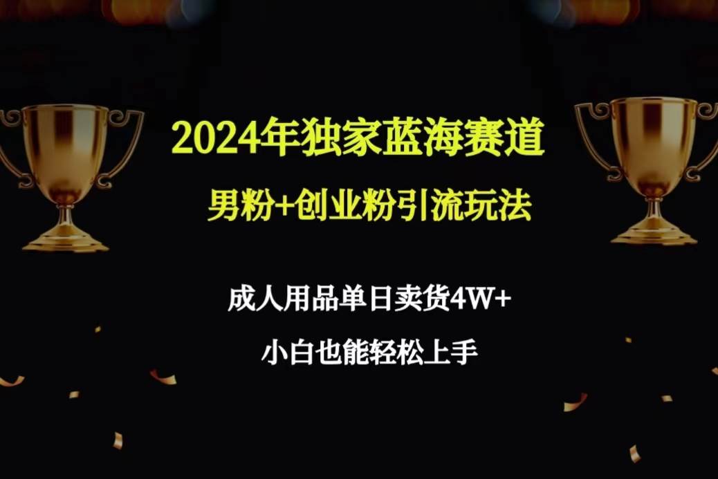 2024年独家蓝海赛道男粉+创业粉引流玩法，成人用品单日卖货4W+保姆教程搞钱吧-网创项目资源站-副业项目-创业项目-搞钱项目搞钱吧