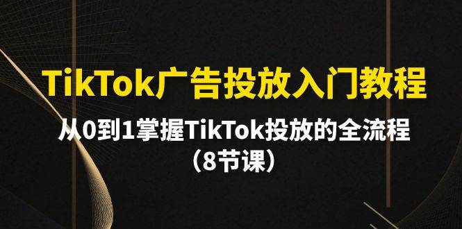 TikTok广告投放入门教程，从0到1掌握TikTok投放的全流程（8节课）搞钱吧-网创项目资源站-副业项目-创业项目-搞钱项目搞钱吧
