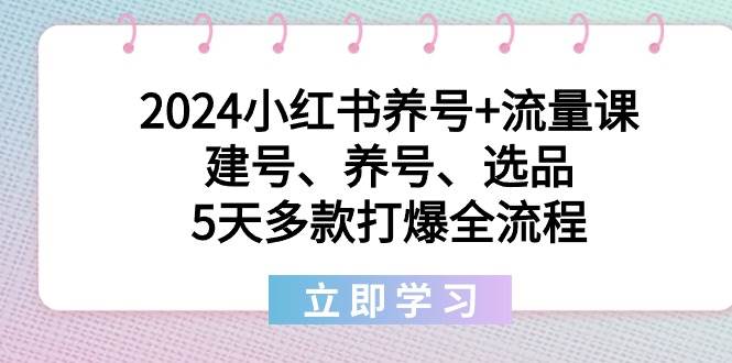 2024小红书养号+流量课：建号、养号、选品，5天多款打爆全流程搞钱吧-网创项目资源站-副业项目-创业项目-搞钱项目搞钱吧