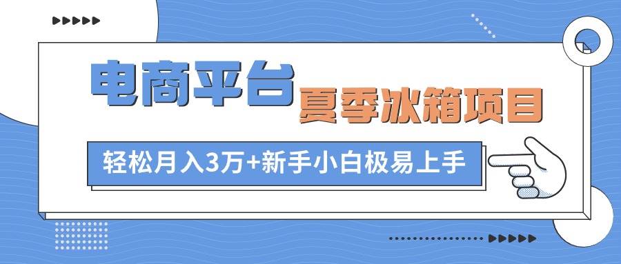 电商平台夏季冰箱项目，轻松月入3万+，新手小白极易上手搞钱吧-网创项目资源站-副业项目-创业项目-搞钱项目搞钱吧
