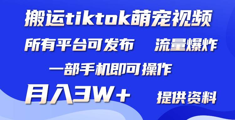 搬运Tiktok萌宠类视频，一部手机即可。所有短视频平台均可操作，月入3W+搞钱吧-网创项目资源站-副业项目-创业项目-搞钱项目搞钱吧