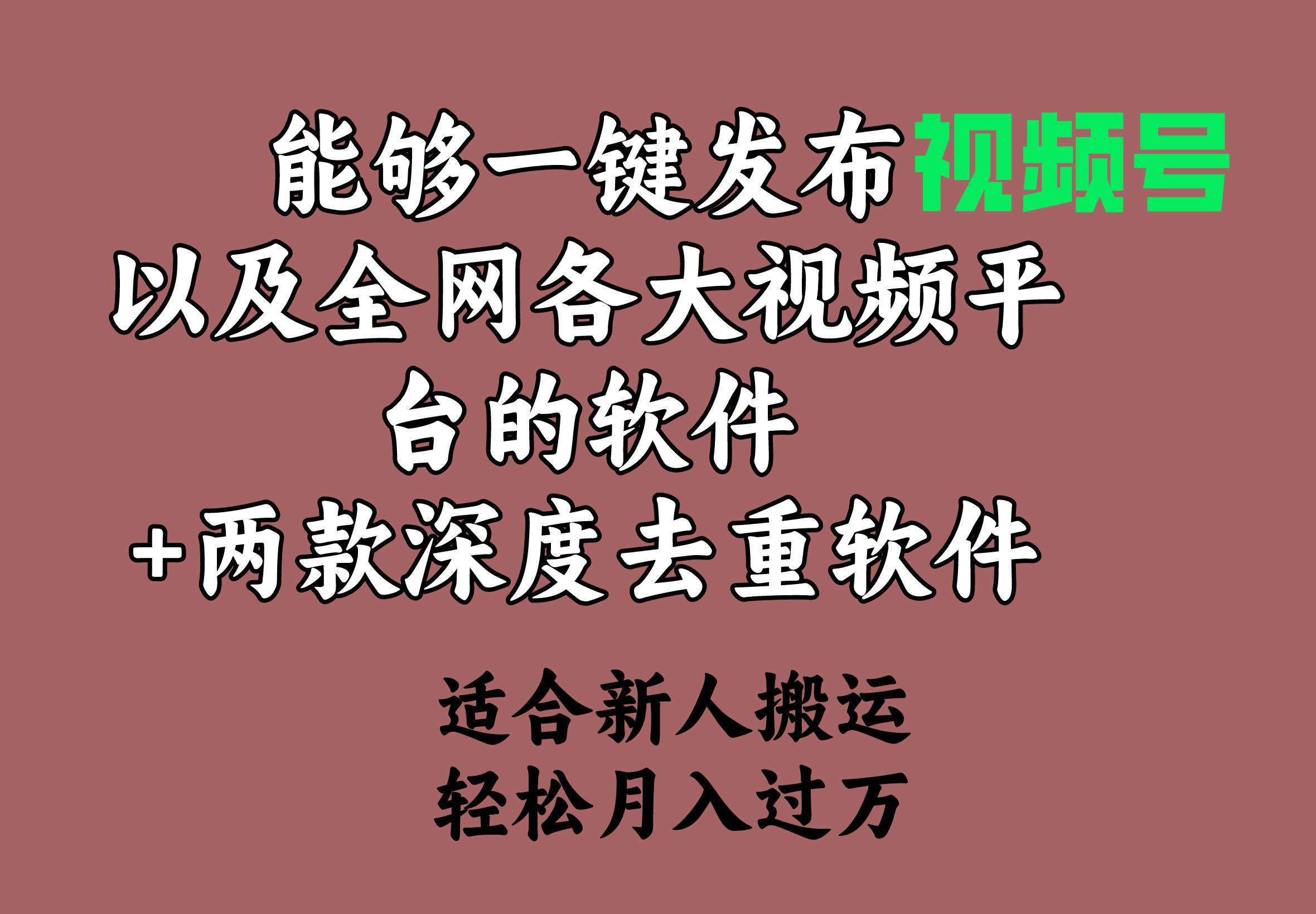 能够一键发布视频号以及全网各大视频平台的软件+两款深度去重软件 适合…搞钱吧-网创项目资源站-副业项目-创业项目-搞钱项目搞钱吧