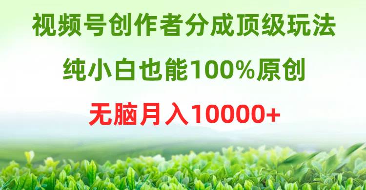 视频号创作者分成顶级玩法，纯小白也能100%原创，无脑月入10000+搞钱吧-网创项目资源站-副业项目-创业项目-搞钱项目搞钱吧