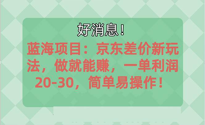 越早知道越能赚到钱的蓝海项目：京东大平台操作，一单利润20-30，简单…搞钱吧-网创项目资源站-副业项目-创业项目-搞钱项目搞钱吧