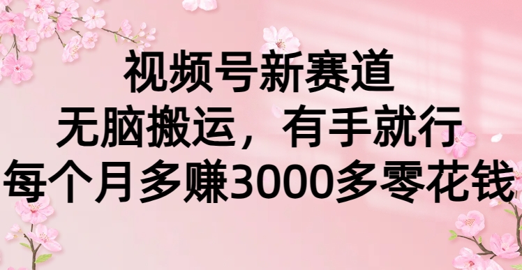 视频号新赛道，无脑搬运，有手就行，每个月多赚3000多零花钱搞钱吧-网创项目资源站-副业项目-创业项目-搞钱项目搞钱吧